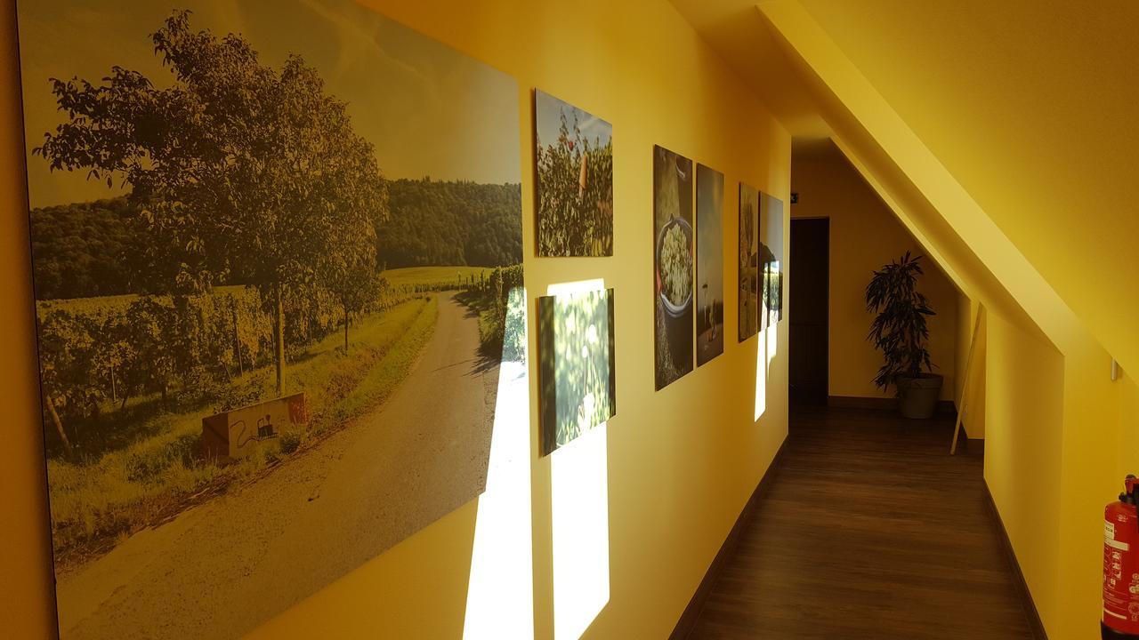 Der Patrizierhof - Weingut Gasthof Hotel - Familie Grebner Grosslangheim Εξωτερικό φωτογραφία